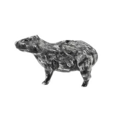 Charm - Capivara