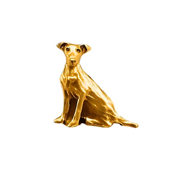 Charm - Cão Vira Lata SRD Ouro