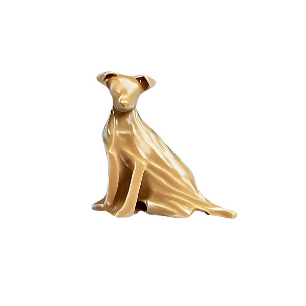 Charm - Cão Vira Lata SRD Caramelo