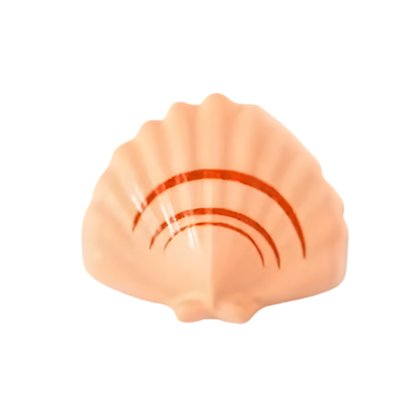 Charm - Concha Especial