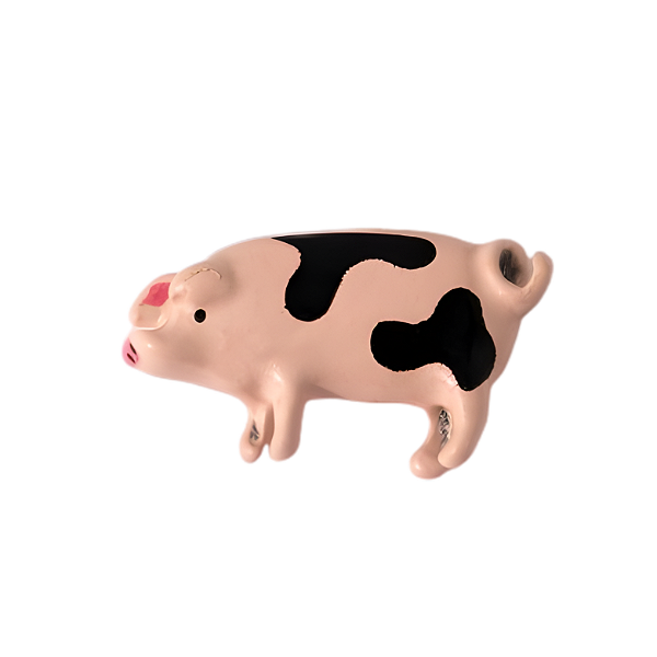 Charm - Porquinho Especial