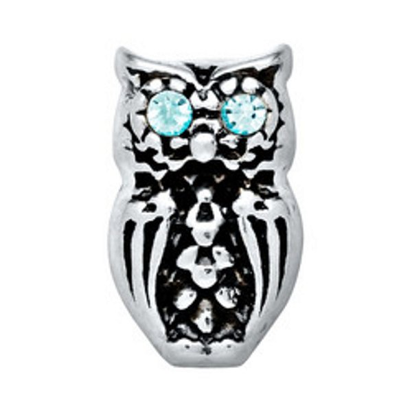 Charm - Coruja Prata Olho de Cristal
