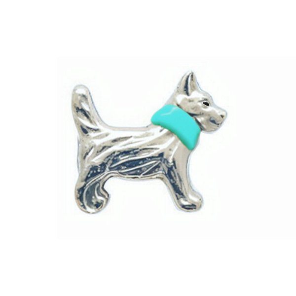 Charm - Cão Prata Coleira azul