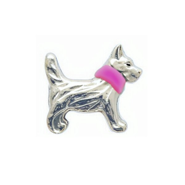 Charm - Cão Prata Coleira Rosa