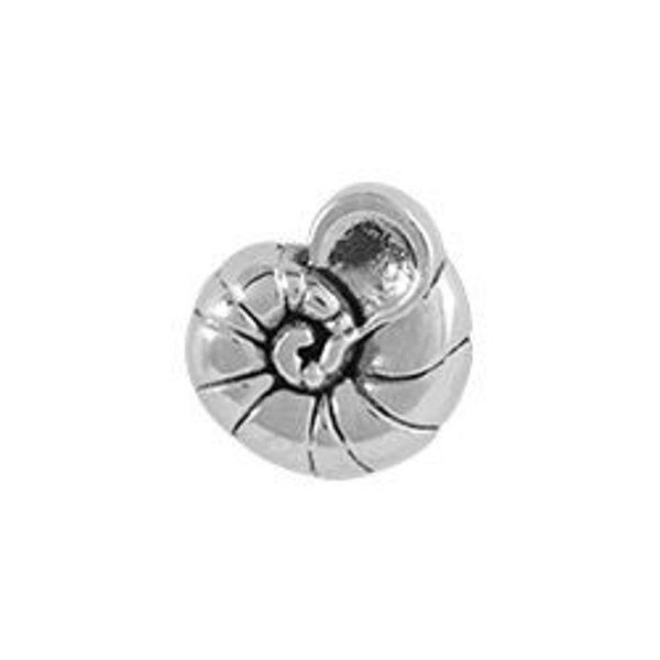 Charm - Concha Nautilus