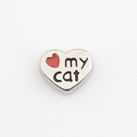 Charm - My Cat