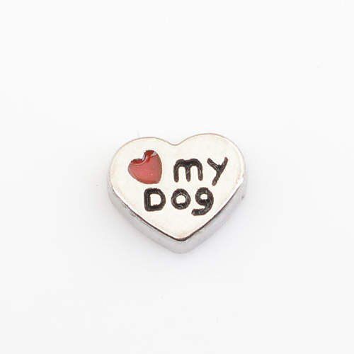 Charm - My Dog