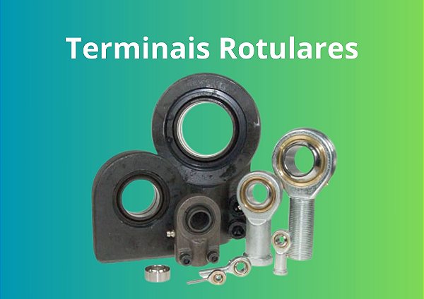 TERMINAIS ROTULARES