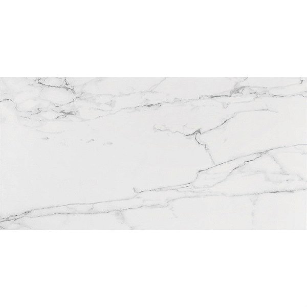 PORCELANATO LM CARRARA GP 60X120 ROCA