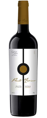 Vinho Tinto Punto Máximo Gran Reserva Carménère