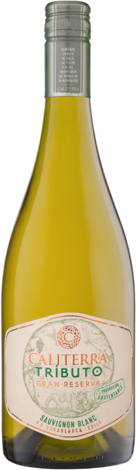 Vinho Branco Caliterra Tributo Gran Reserva Sauvignon Blanc