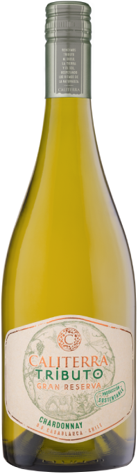 Vinho Branco Caliterra Tributo Gran Reserva Chardonnay