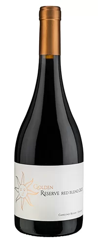 Vinho Tinto Pizzorno Golden Reserva Red Blend