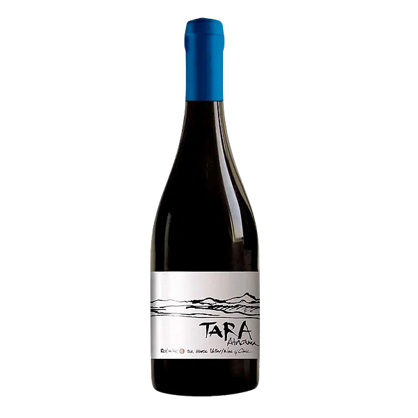 Vinho Tinto Tara Atacama Pinot Noir