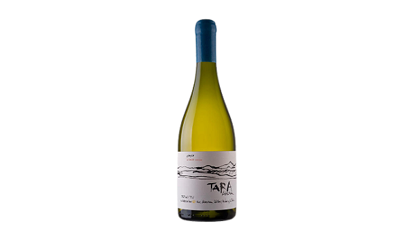 Vinho Branco Tara Atacama Sauvignon Blanc
