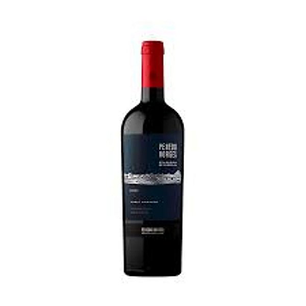 Vinho Tinto Penedo Borges Seleccion Parcelas Malbec