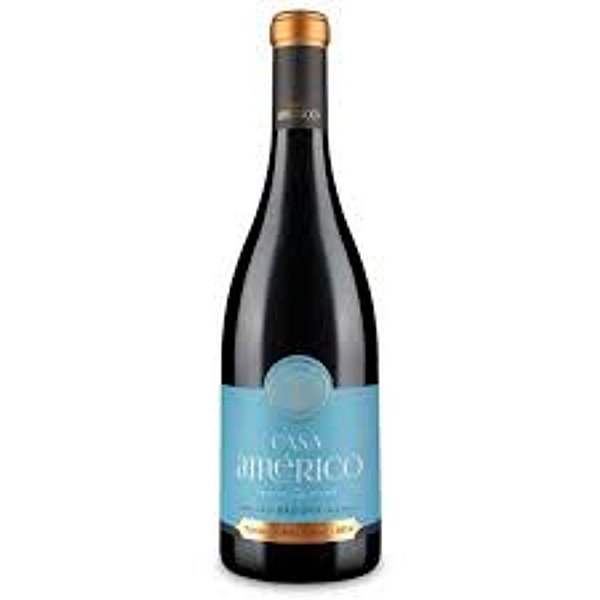 Vinho Tinto Casa Americo Red Wine DAO DOP