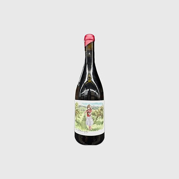 Vinho Tinto Outeiros Constança Vai À Vinha - E não só