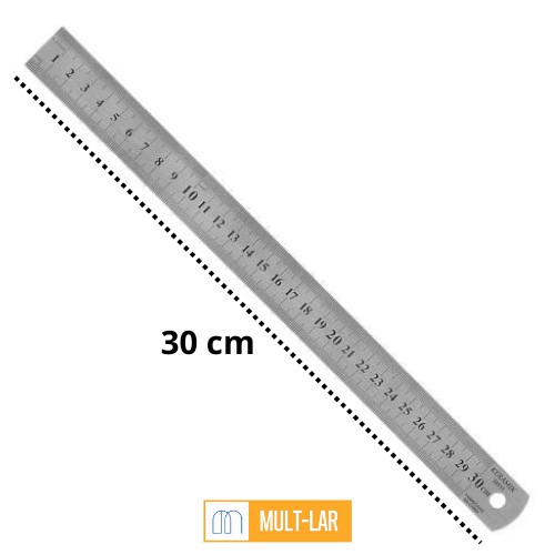 REGUA DE ALUMÍNIO 30 CM WPR02233