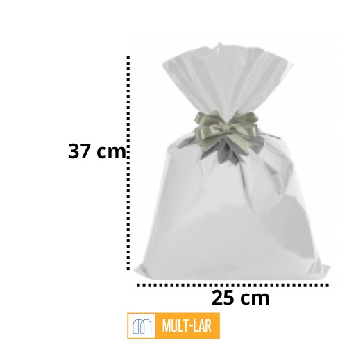 SACO TRANSPARENTE 25 X 37 PACOTE COM 50 UN