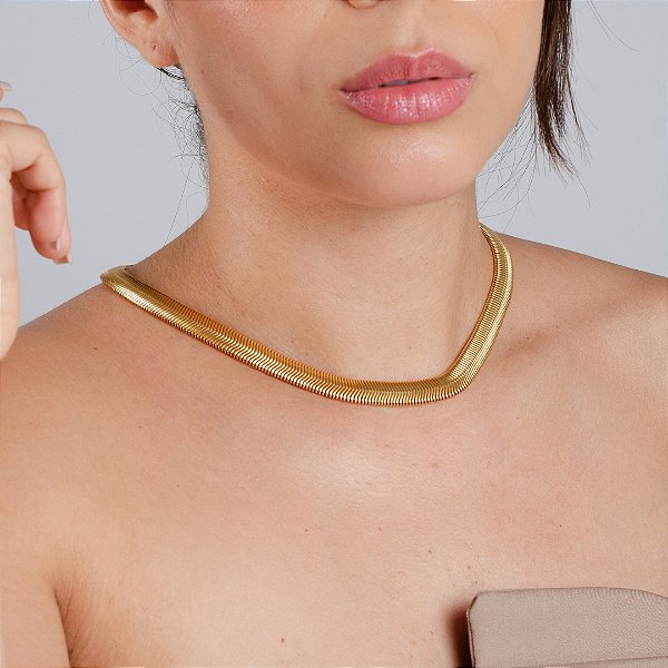 Gargantilha Lacraia - Semijoia 18k - MG490-77616