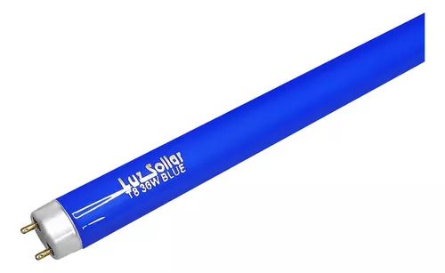 LAMPADA FLUORESCENTE AZUL 20W T-8 FOXLUX