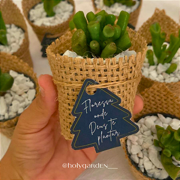 Lembranças com suculentas no Tecido Juta