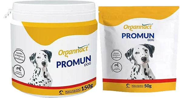 Promun dog