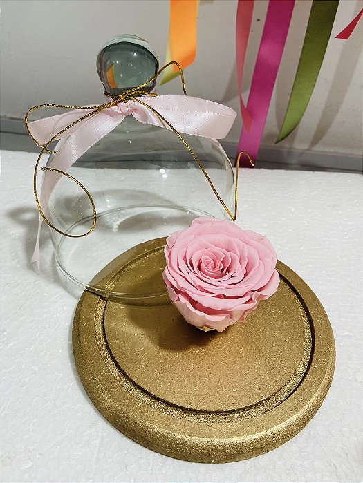 Rosa Encantada Rosa