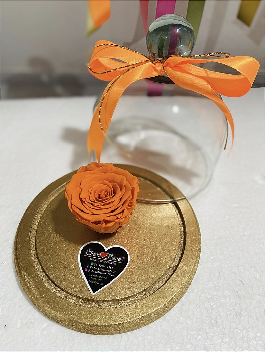 Rosa Encantada Laranja