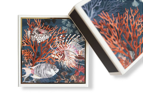 CAIXA FISH ALLUMETTES