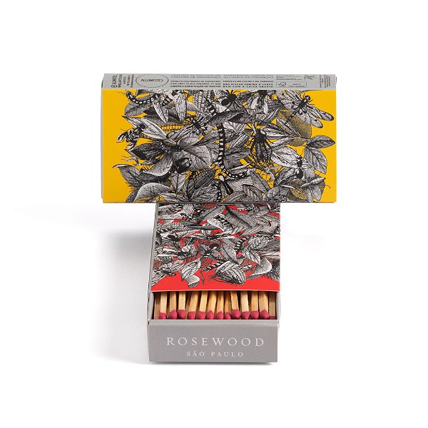 CAIXA REGINA SILVEIRA RED