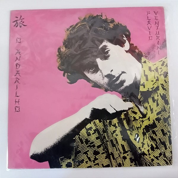 Disco de Vinil Flavio Venturini - o Andarilho Interprete Flavio Venturini (1984) [usado]