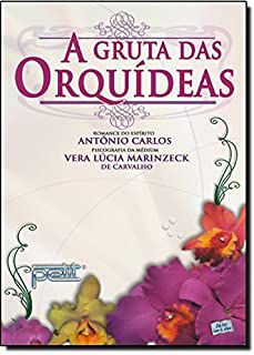 Livro Gruta das Orquídeas, a Autor Carvalho, Vera Lúcia Marinzeck de (2007) [usado]