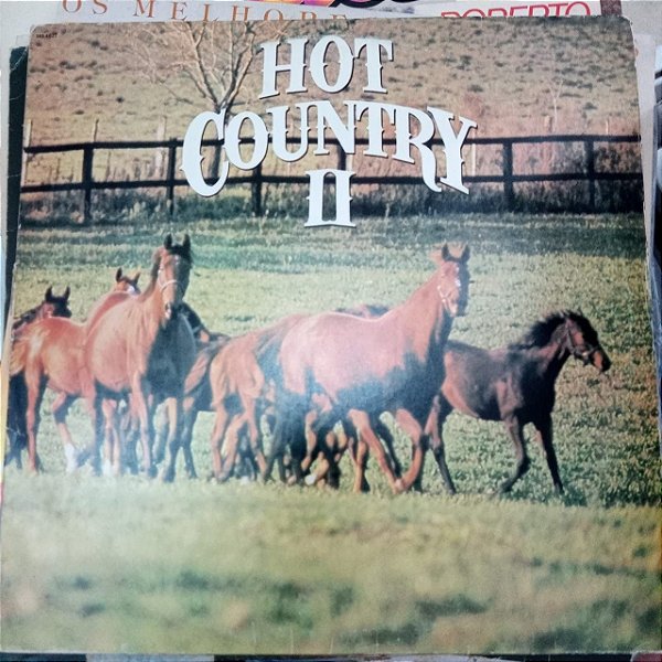 Disco de Vinil Hot Country 2 Interprete Varios Artistas (1990) [usado]