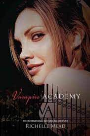 Livro Vampire Academy Vol.1 Autor Mead, Richelle (2007) [usado]