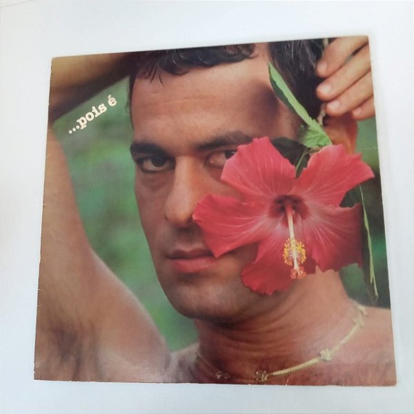 Disco de Vinil Ney Matogrosso - Pois é Interprete Ney Matogrosso (1983) [usado]