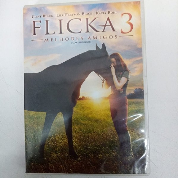 Dvd Flicka 3 - Melhores Amigos Editora Michael Damian [usado]