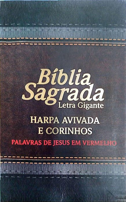 Livro Bíblia Sagrada - Letra Gigante Autor Vários (2012) [seminovo]