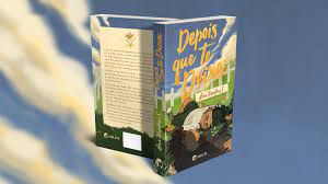 Livro Depois que Te Deixei Autor S., Ana Karollini (2022) [usado]