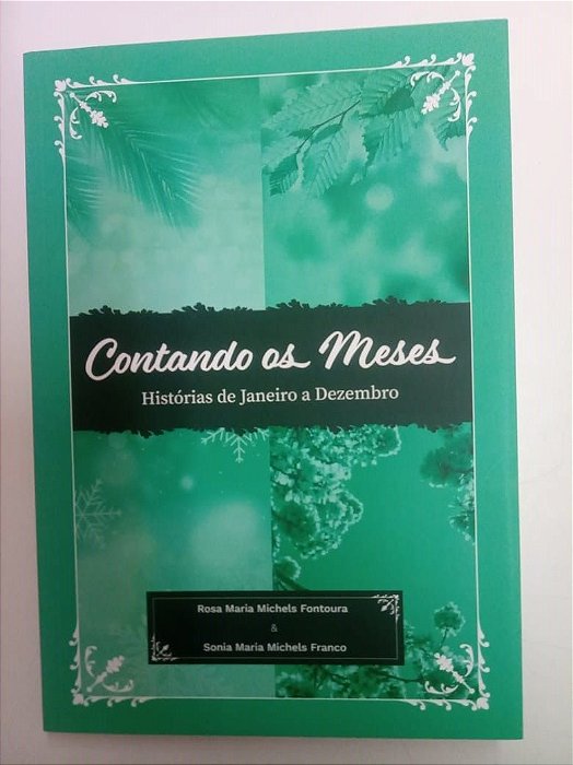 Livro Contando os Meses - Histórias de Janeiro a Dezembro Autor Fontoura, Rosa Maria Michels Franco (2022) [usado]