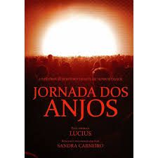 Livro Jornada dos Anjos Autor Carneiro, Sandra (2010) [seminovo]