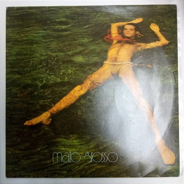 Disco de Vinil Ney Matogrosso - 1982 Interprete Ney Matogrosso (1982) [usado]