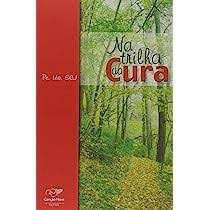 Livro na Trilha da Cura Autor Léo,pé. (2006) [usado]