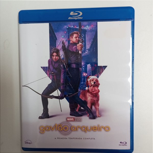 Dvd Gavião Arqueiro - a Primeira Temporada Completa Blu-ray Disc Editora Rhys Thomas [usado]