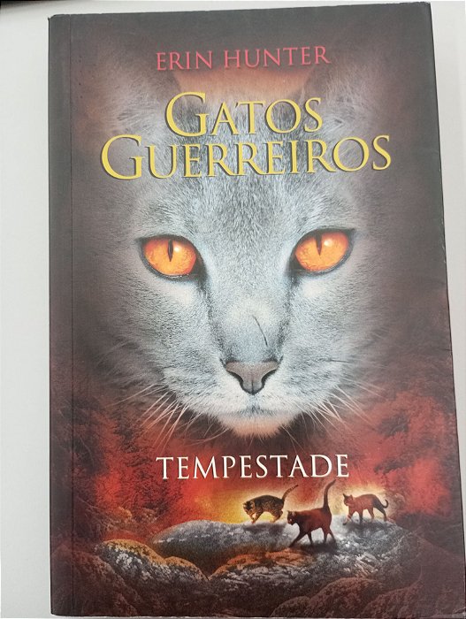 Livro Tempestade - Gatos Guerreiros Autor Hunter, Erin (2013) [usado]