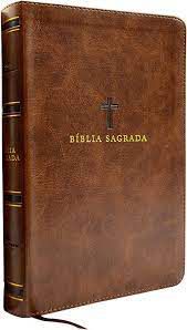 Livro Bíblia Sagrada - Letra Grande Autor Almeida (2020) [seminovo]