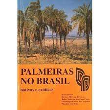 Livro Palmeiras no Brasil Nativas e Exoticas Autor Lorenzi,harri e Outros (1996) [usado]