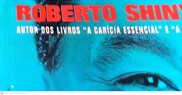 Livro o Sucesso é Ser Feliz Autor Shinyashiki, Roberto (1997) [usado]