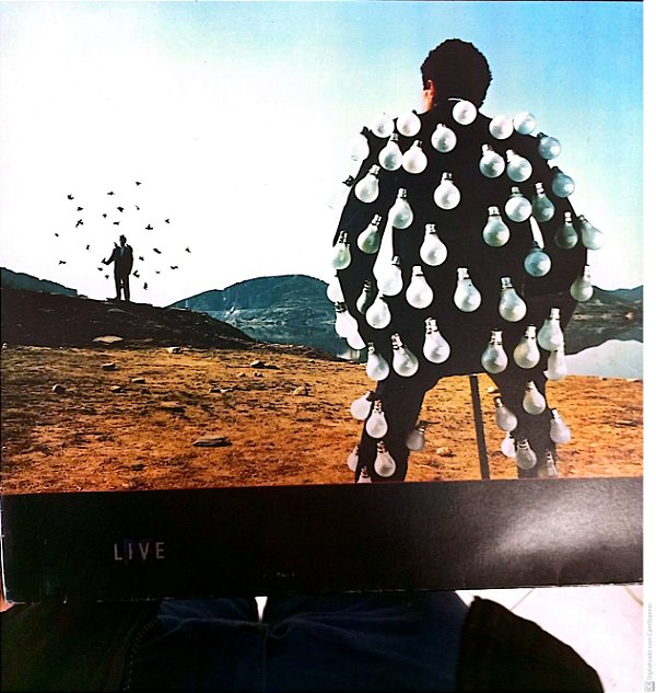 Disco de Vinil Pink Floyd - Delicate Sound Of Thunder Album com Dois Discos Interprete Pink Floyd (1988) [usado]